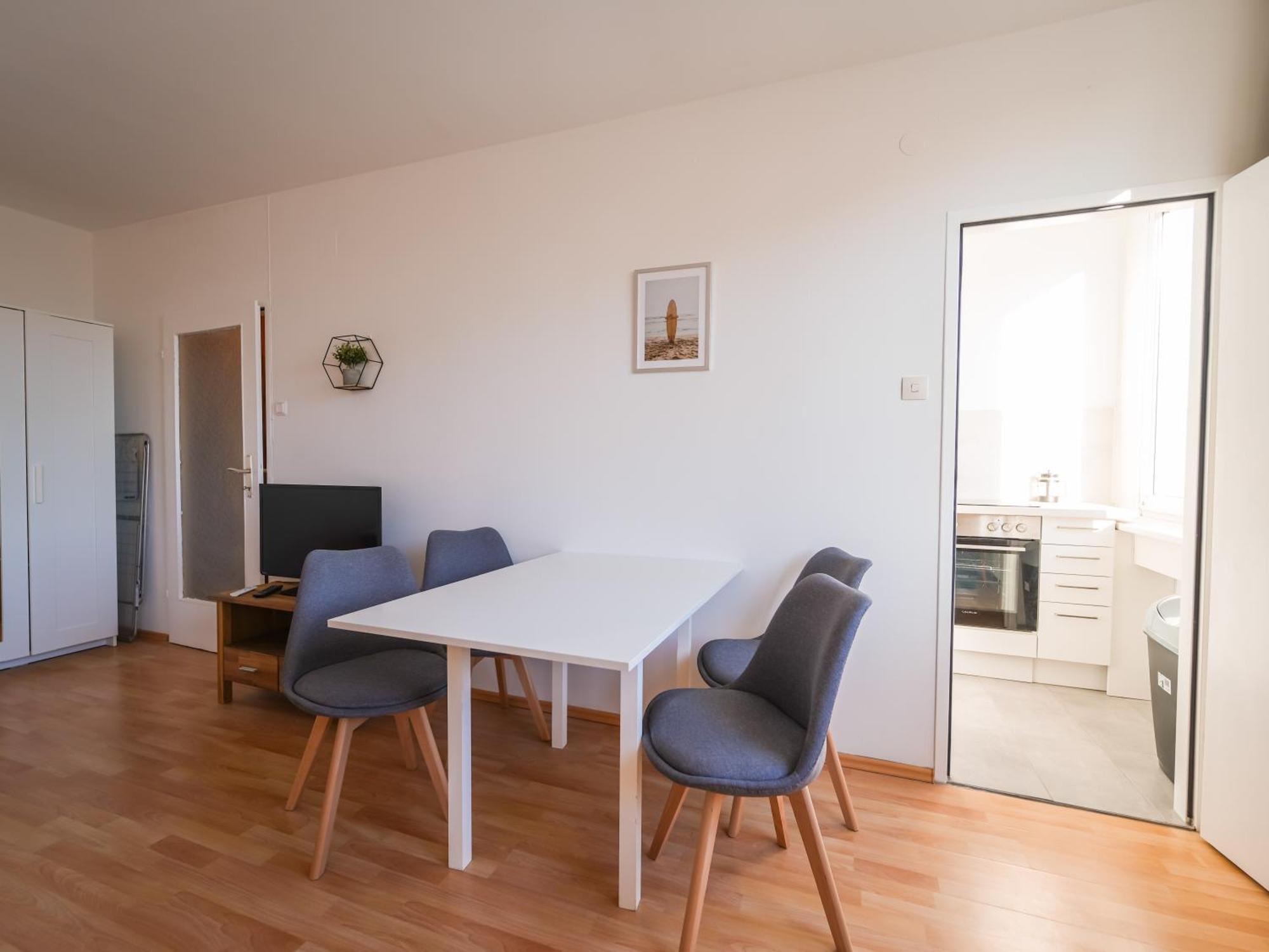 Spacious Apartments With View & Free Parking Wiener Neustadt Zewnętrze zdjęcie