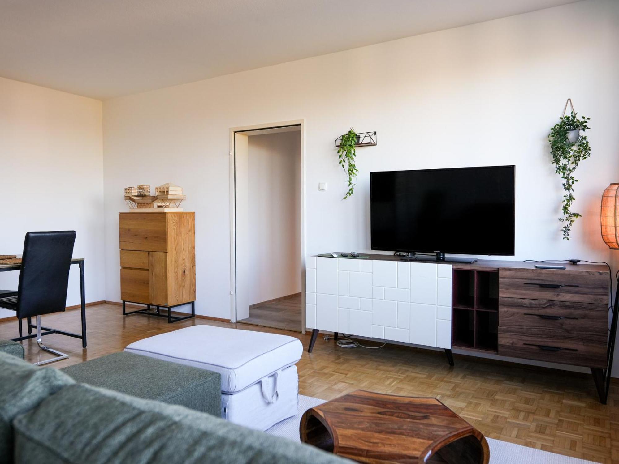 Spacious Apartments With View & Free Parking Wiener Neustadt Zewnętrze zdjęcie