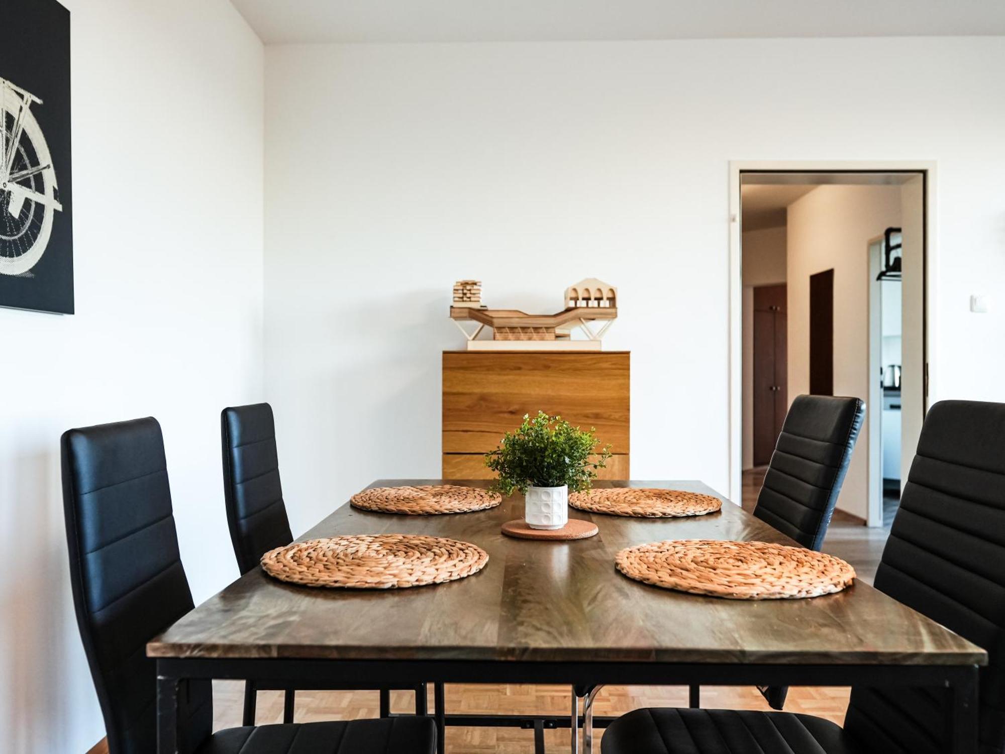 Spacious Apartments With View & Free Parking Wiener Neustadt Zewnętrze zdjęcie